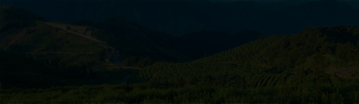 公司简介